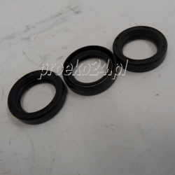 KIT 159 USZCZELNIENIA OLEJOWE INTERPUMP